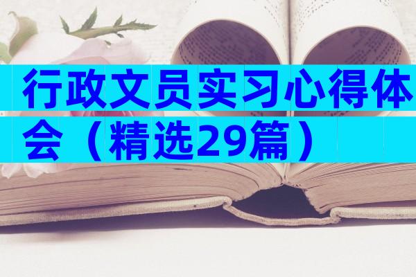 行政文员实习心得体会（精选29篇）