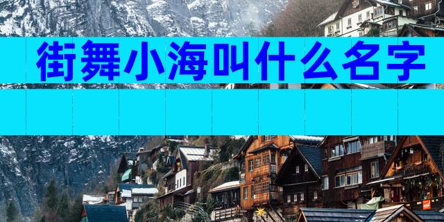 街舞小海叫什么名字