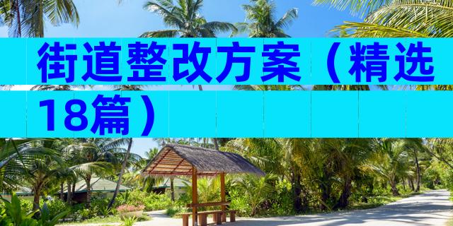 街道整改方案（精选18篇）