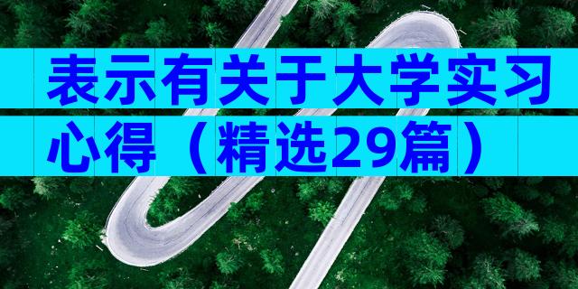 表示有关于大学实习心得（精选29篇）