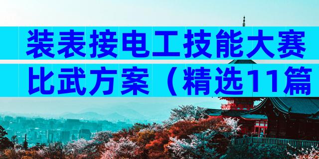 装表接电工技能大赛比武方案（精选11篇）