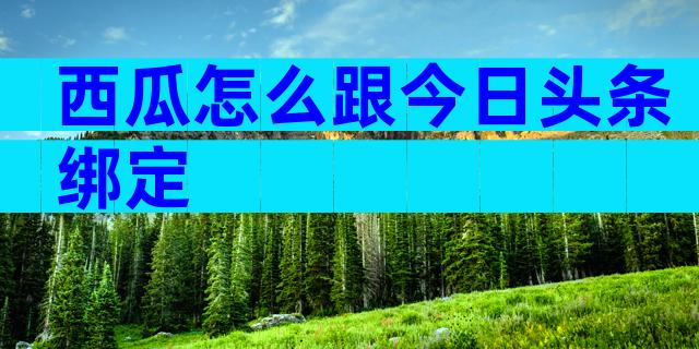 西瓜怎么跟今日头条绑定