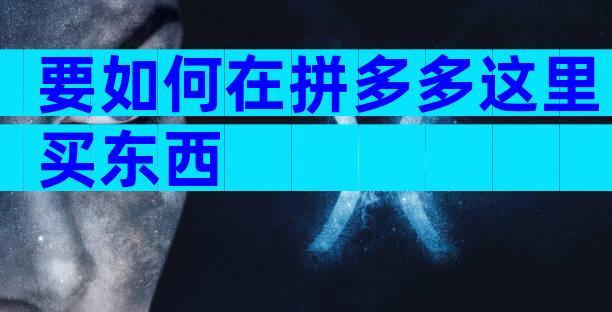 要如何在拼多多这里买东西