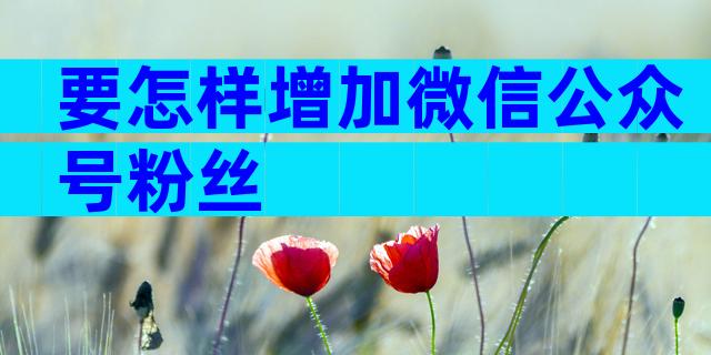 要怎样增加微信公众号粉丝