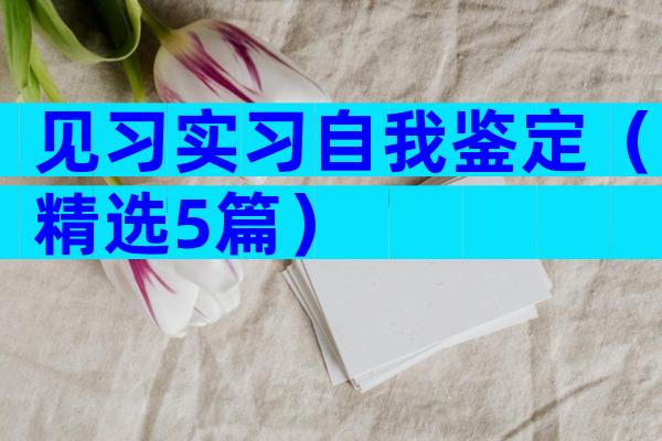 见习实习自我鉴定（精选5篇）