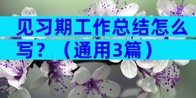 见习期工作总结怎么写？（通用3篇）