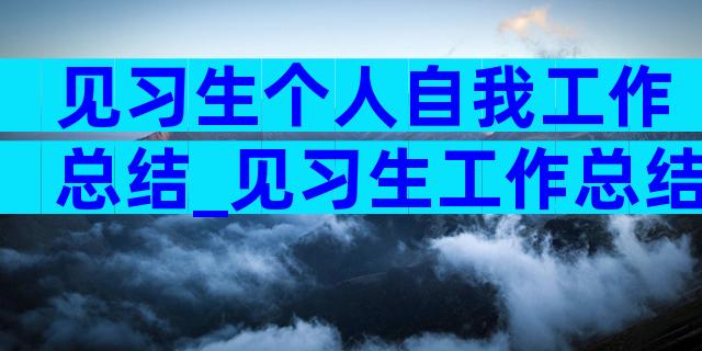 见习生个人自我工作总结_见习生工作总结（通用3篇）
