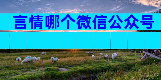言情哪个微信公众号