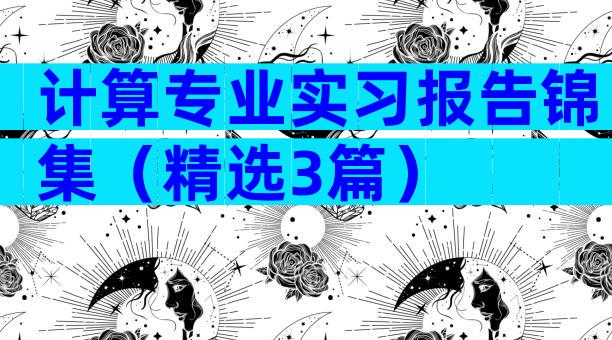 计算专业实习报告锦集（精选3篇）