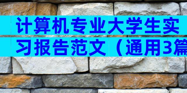 计算机专业大学生实习报告范文（通用3篇）