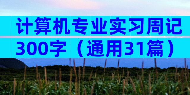 计算机专业实习周记300字（通用31篇）