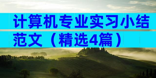 计算机专业实习小结范文（精选4篇）