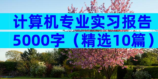 计算机专业实习报告5000字（精选10篇）