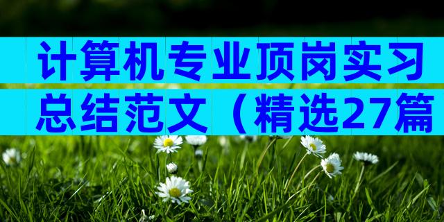 计算机专业顶岗实习总结范文（精选27篇）