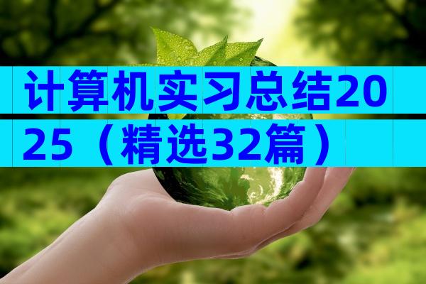 计算机实习总结2025（精选32篇）