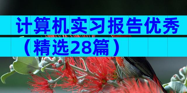 计算机实习报告优秀（精选28篇）