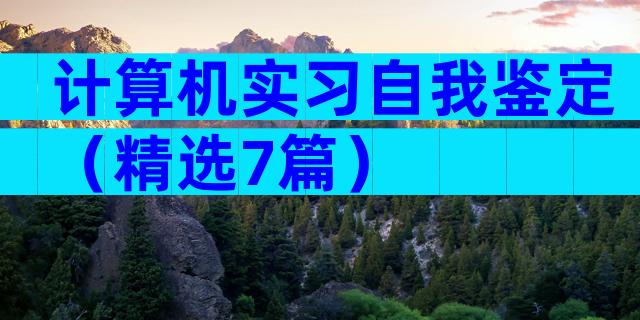 计算机实习自我鉴定（精选7篇）