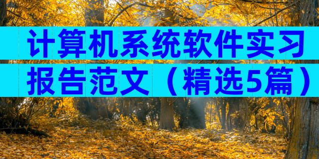 计算机系统软件实习报告范文（精选5篇）