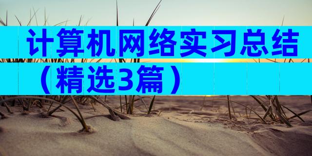 计算机网络实习总结（精选3篇）