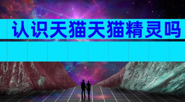 认识天猫天猫精灵吗