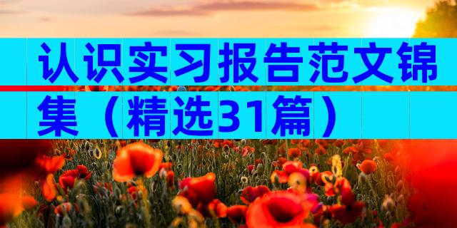 认识实习报告范文锦集（精选31篇）