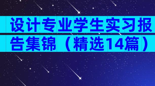 设计专业学生实习报告集锦（精选14篇）