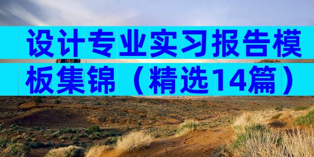 设计专业实习报告模板集锦（精选14篇）