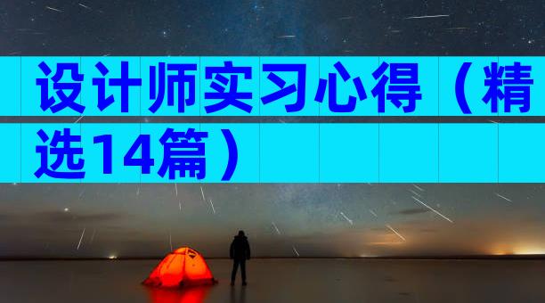 设计师实习心得（精选14篇）