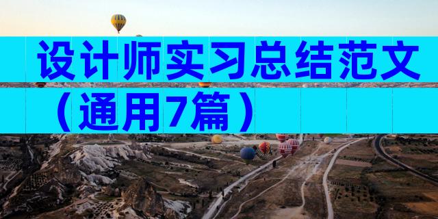 设计师实习总结范文（通用7篇）