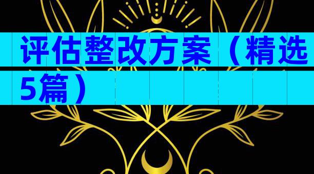 评估整改方案（精选5篇）