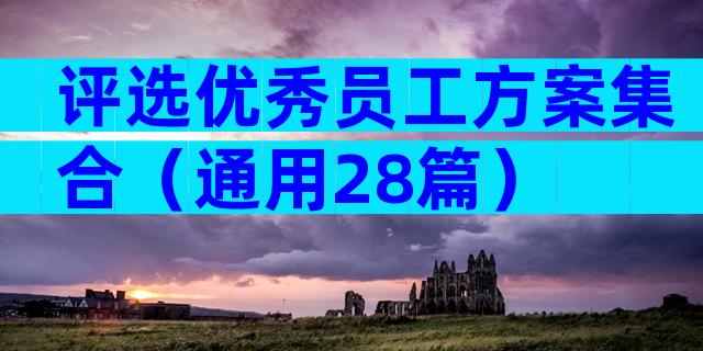 评选优秀员工方案集合（通用28篇）