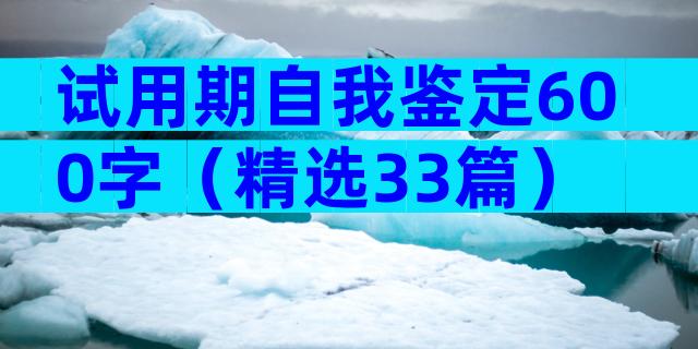 试用期自我鉴定600字（精选33篇）