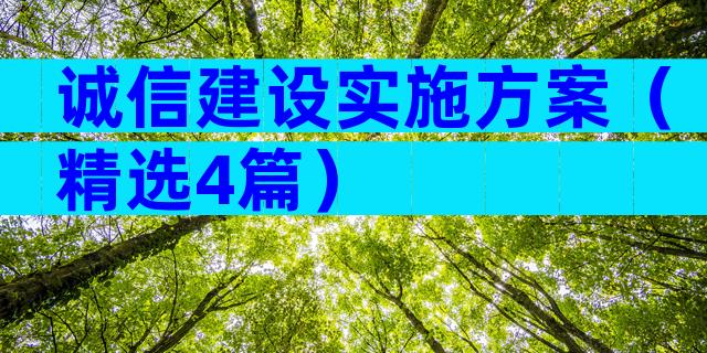 诚信建设实施方案（精选4篇）