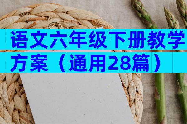 语文六年级下册教学方案（通用28篇）