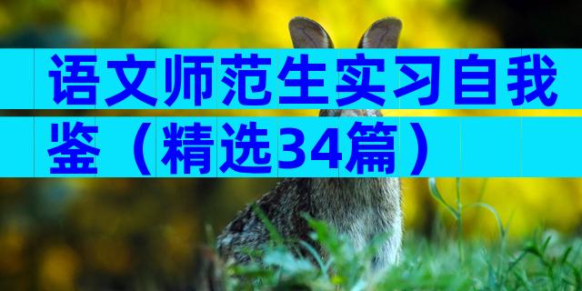 语文师范生实习自我鉴（精选34篇）