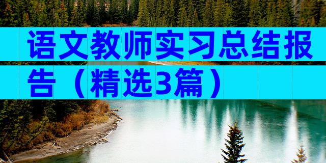 语文教师实习总结报告（精选3篇）