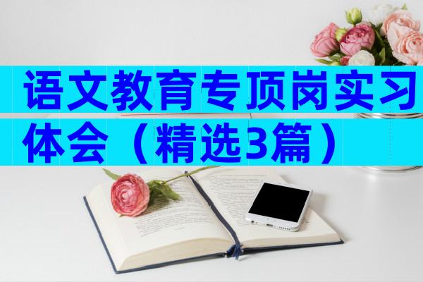 语文教育专顶岗实习体会（精选3篇）