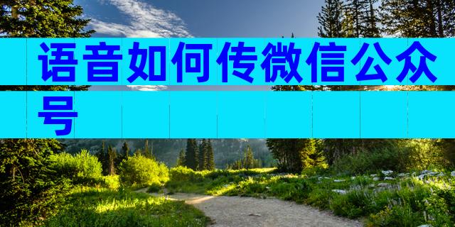 语音如何传微信公众号