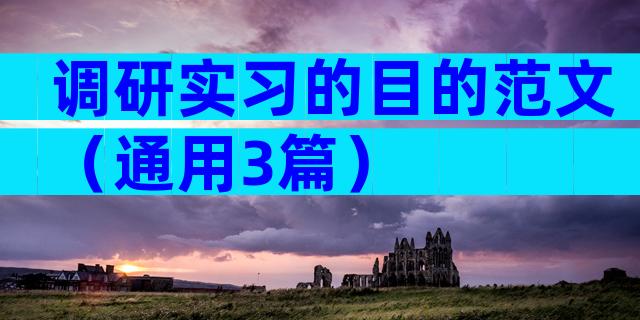 调研实习的目的范文（通用3篇）