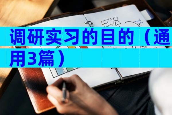 调研实习的目的（通用3篇）
