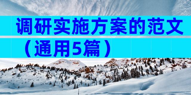 调研实施方案的范文（通用5篇）