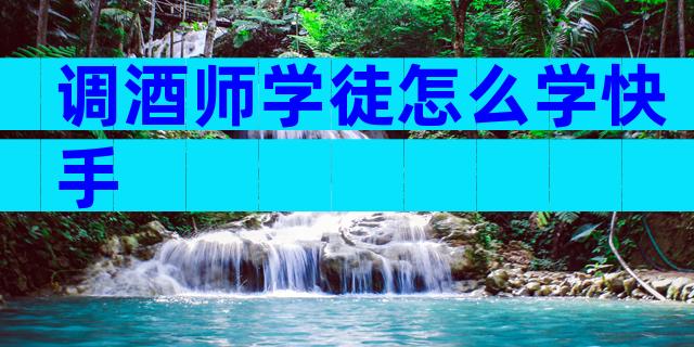 调酒师学徒怎么学快手