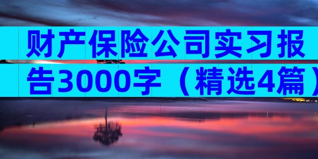 财产保险公司实习报告3000字（精选4篇）