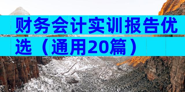 财务会计实训报告优选（通用20篇）