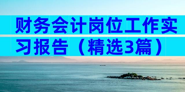 财务会计岗位工作实习报告（精选3篇）