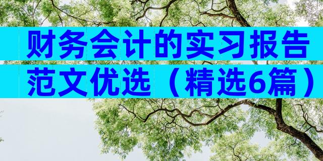 财务会计的实习报告范文优选（精选6篇）