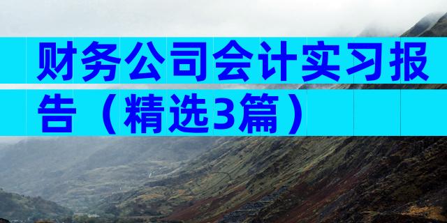 财务公司会计实习报告（精选3篇）