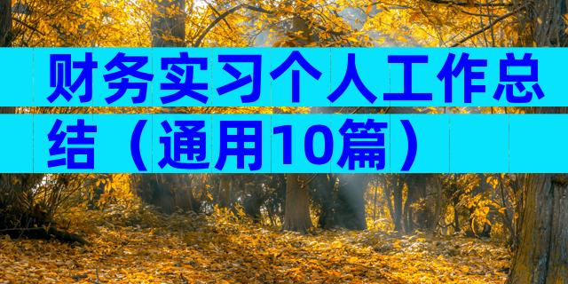 财务实习个人工作总结（通用10篇）