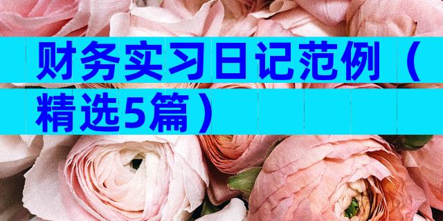 财务实习日记范例（精选5篇）
