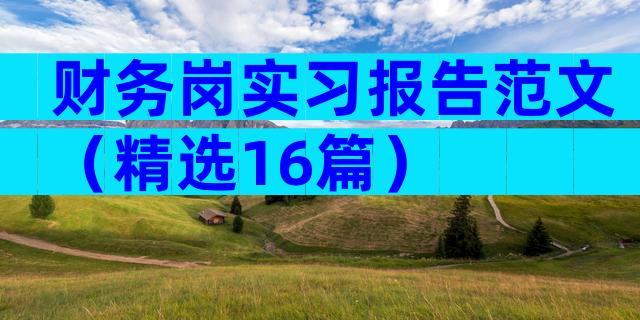 财务岗实习报告范文（精选16篇）